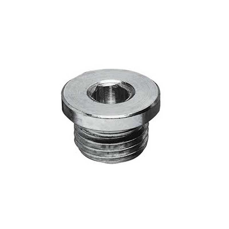 BSP Male Captive Hollow Hex Plug