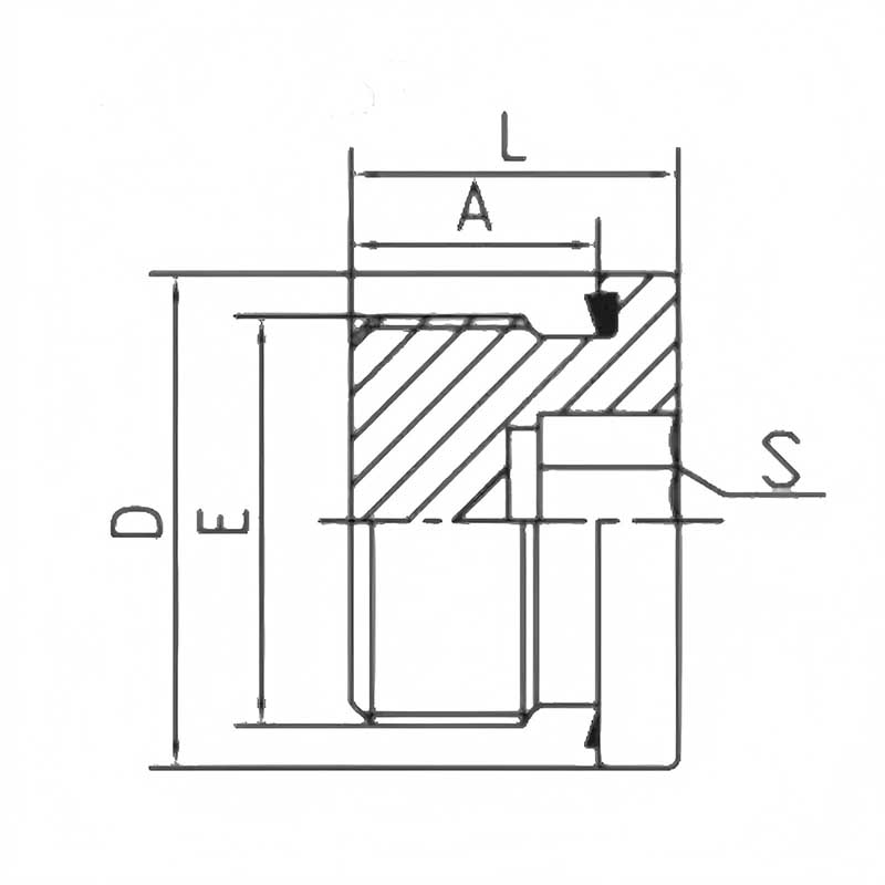 BSP Male Captive Seal Plug