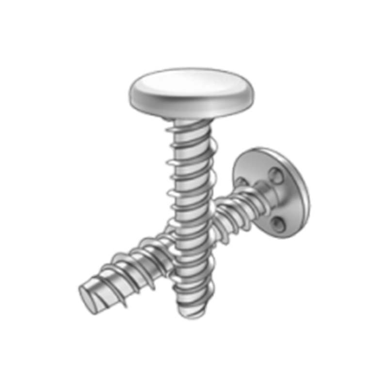 Studaí Táthú Teilgean Ceann Maol Cruinn