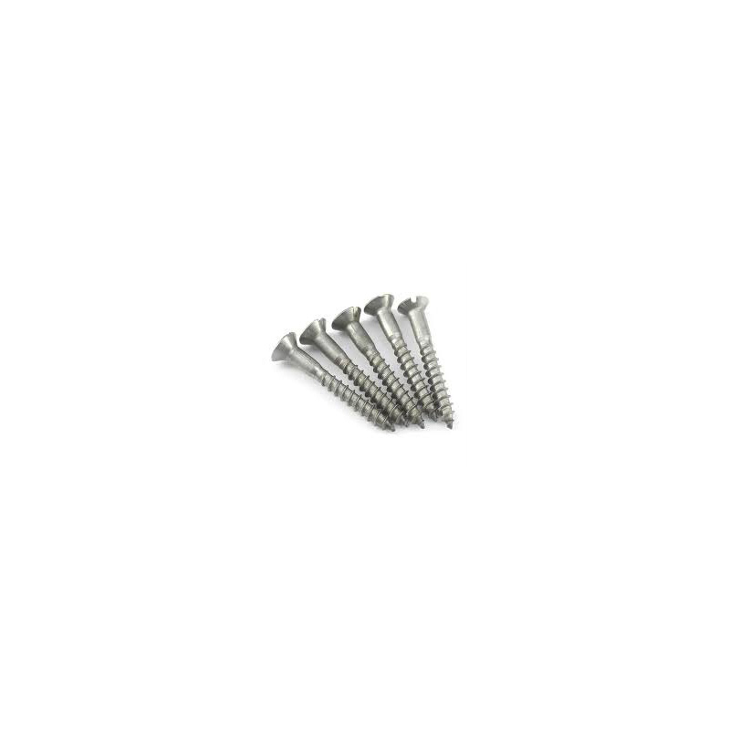 Scriú Ceann Maol Countersunk Slotted